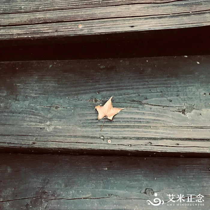 正念就只是靜坐冥想？你還可以試試這麼做_艾米正念